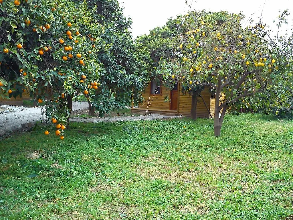 Yesil Bahce Bungalow - Ahsap Evler Villa Fethiye